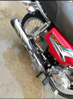 Honda 125 all Punjab number