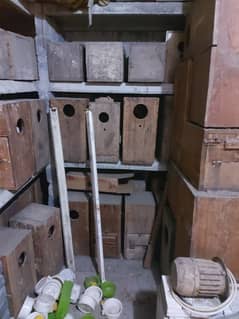 Boxes & cages for sale