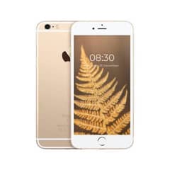 iPhone 6  l  Gold  l  PTA approve  l  16 gb  l Clifton block 8