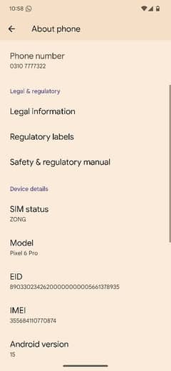 google pixel 6 pro pta dual approved