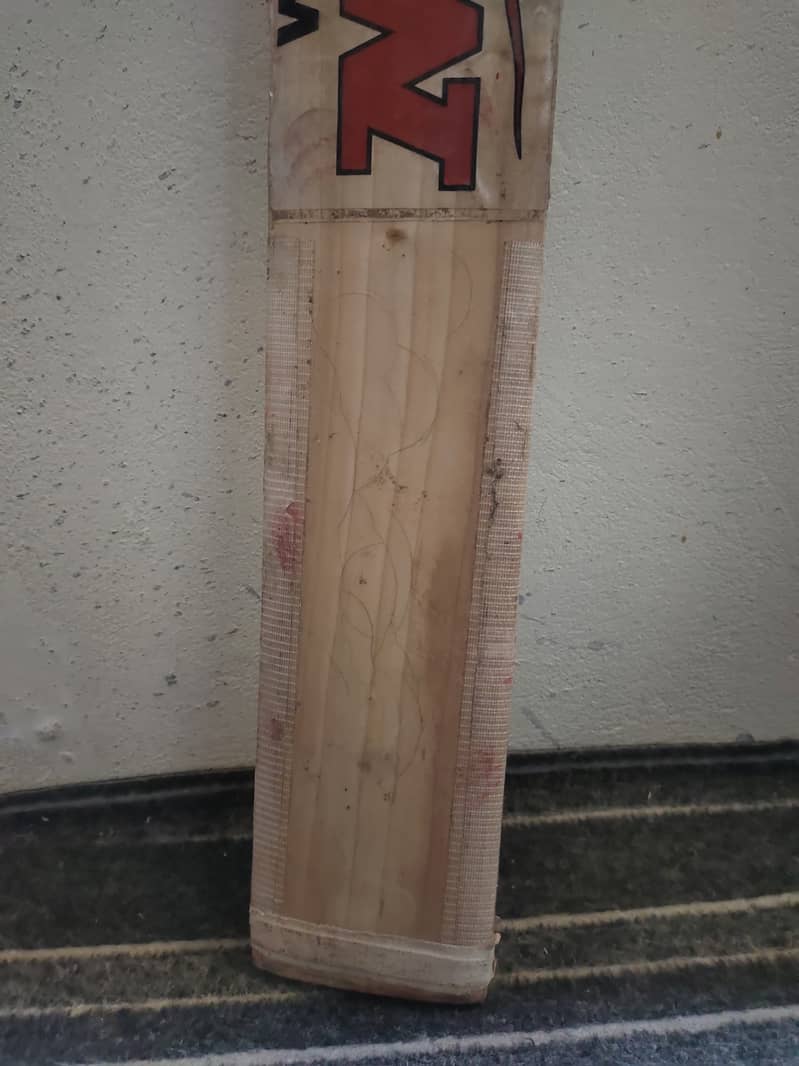 English willow Cricket bat 1