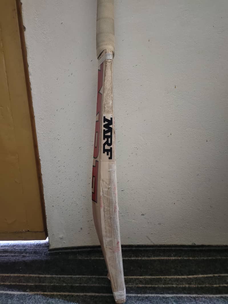 English willow Cricket bat 2