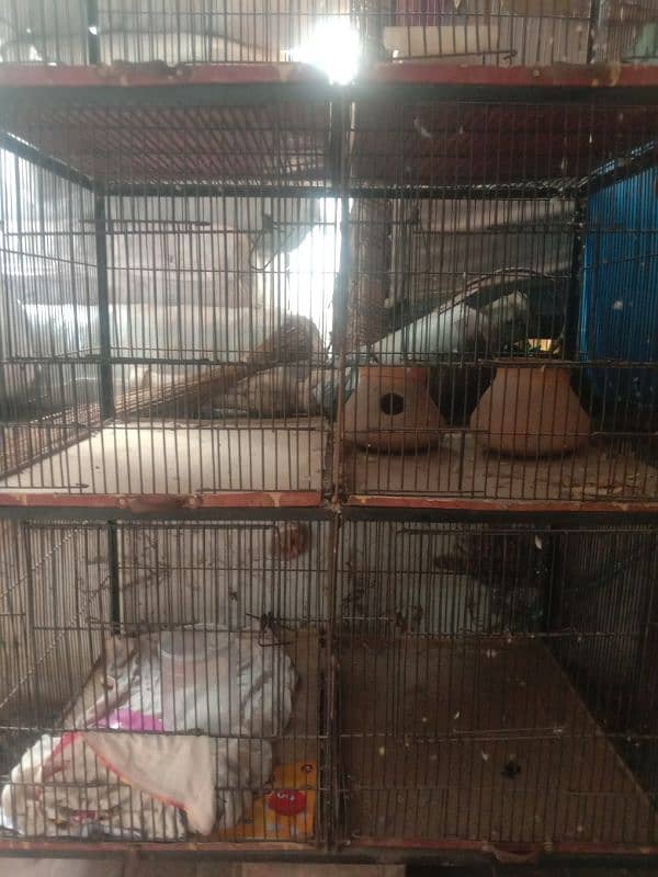 Cage for sale 0