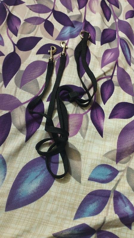 dog collar, dog  muzzle and harness . 3