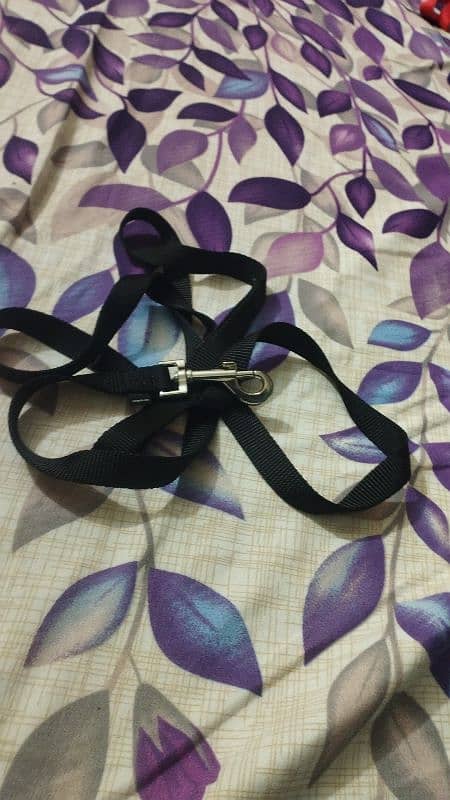 dog collar, dog  muzzle and harness . 5