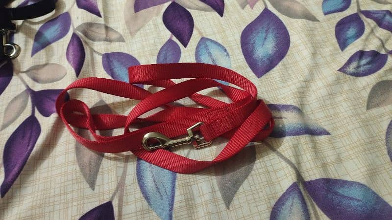 dog collar, dog  muzzle and harness . 6