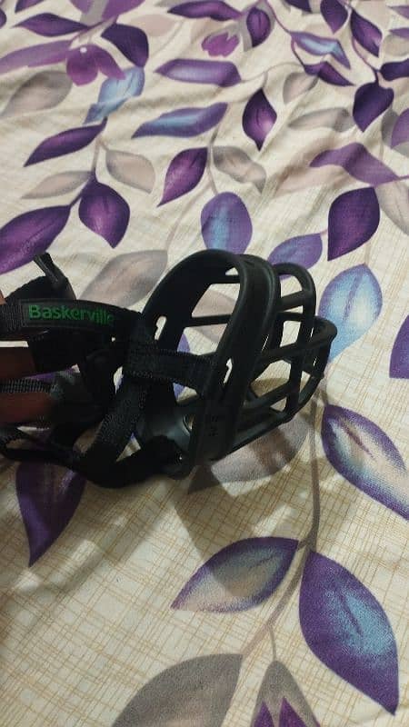 dog collar, dog  muzzle and harness . 9