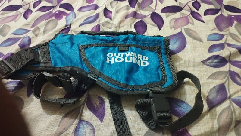 dog collar, dog  muzzle and harness . 11