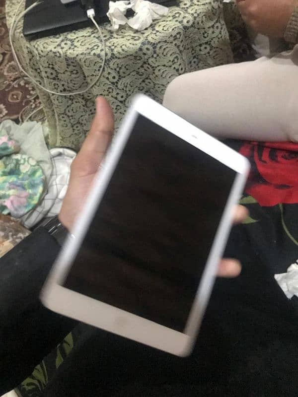 ipad mini 3 water pack 2