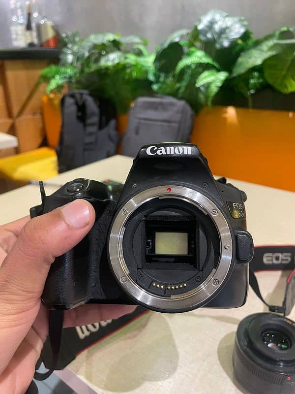 Canon 250D with kit lens and additional 50mm lens 0