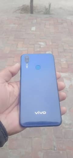 vivo