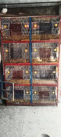 Cage | hen  Cage | Iron Cage | Pinjra | پرندوں کا پنجرا