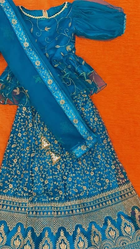 Beautiful lehnga choli for girl 2