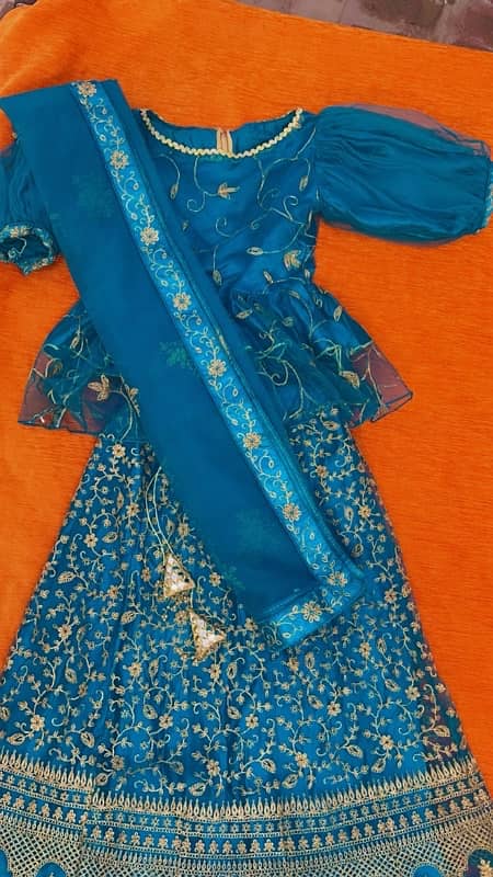 Beautiful lehnga choli for girl 3