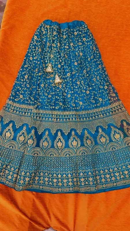 Beautiful lehnga choli for girl 7