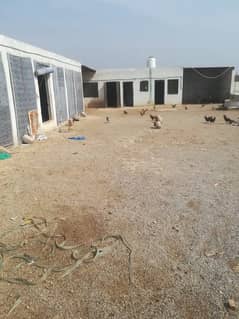 Poultry farm for urgent sale