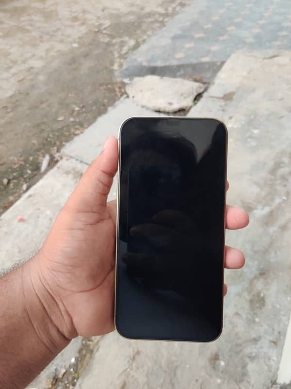 iPhone 13 Pro Max 256gb (FU) 4