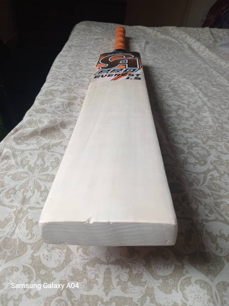 Brand New CA Evrest Bat with gloves 2