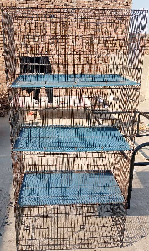 cage for sale 1