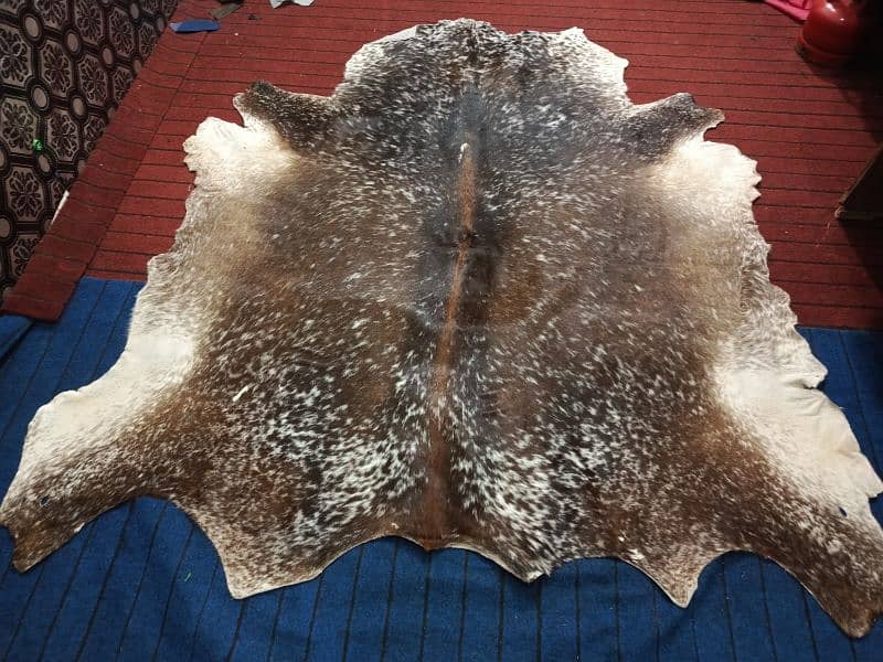 Cowhide Rugs (skins) 0