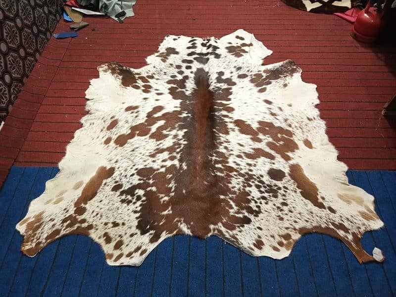 Cowhide Rugs (skins) 4