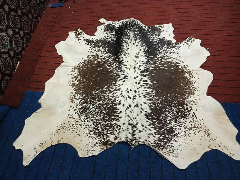 Cowhide Rugs (skins) 5