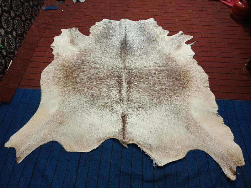 Cowhide Rugs (skins) 7