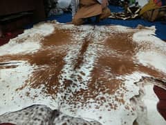 Cowhide Rugs