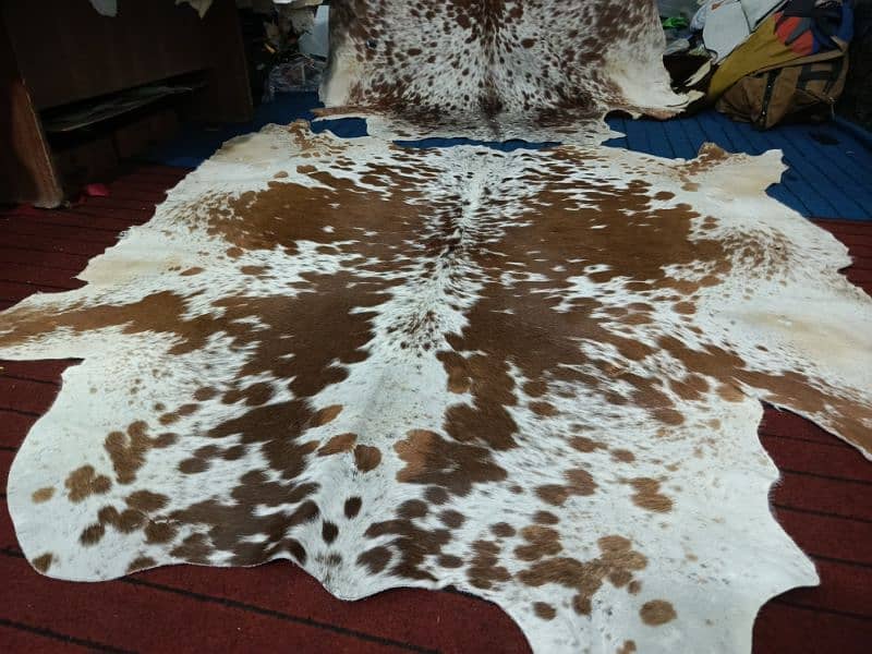 Cowhide Rugs 1