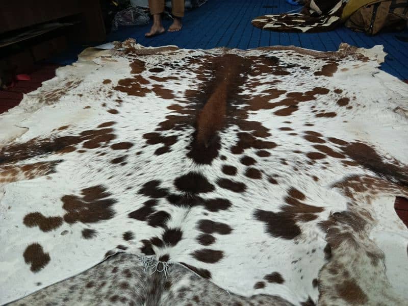 Cowhide Rugs 2