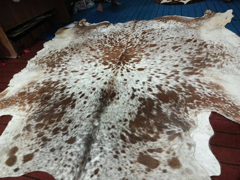 Cowhide Rugs 3