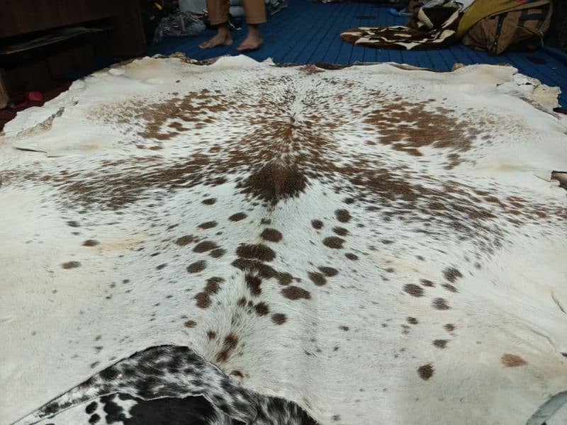 Cowhide Rugs 5