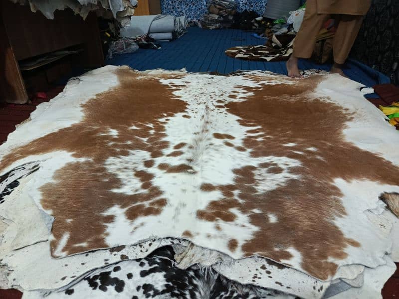 Cowhide Rugs 6