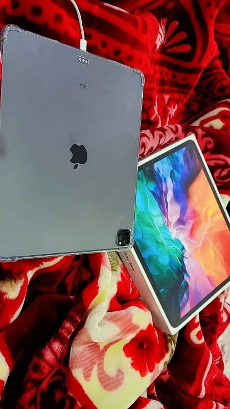 iPad Pro 4th generation 256 GB 13" inch 1