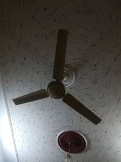 3 ceiling fan