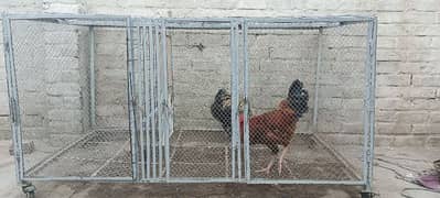 hen cage for sale