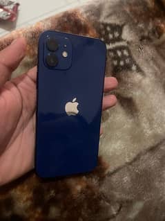 Iphone 12 128gb pta approved