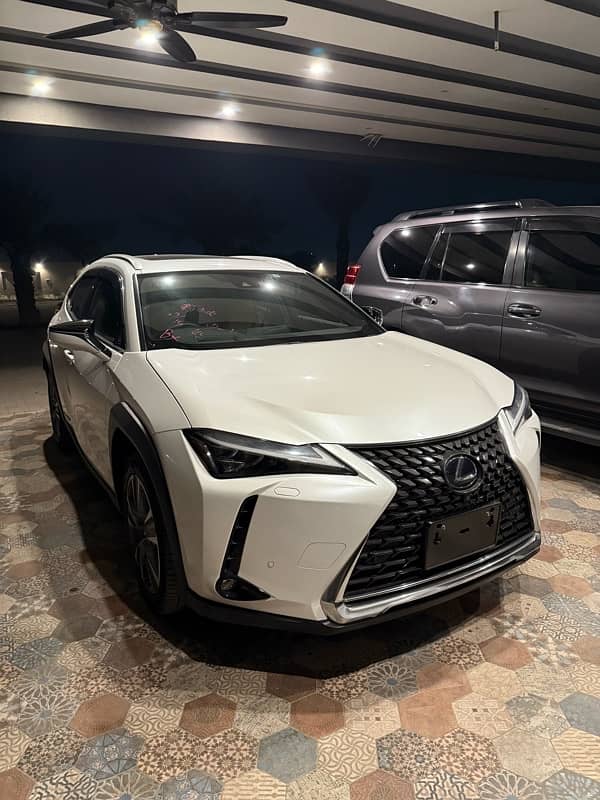 Lexus UX 300e 1