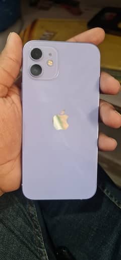 i phone 12 non Pta