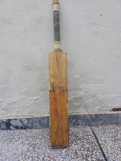 hard ball bat for practice