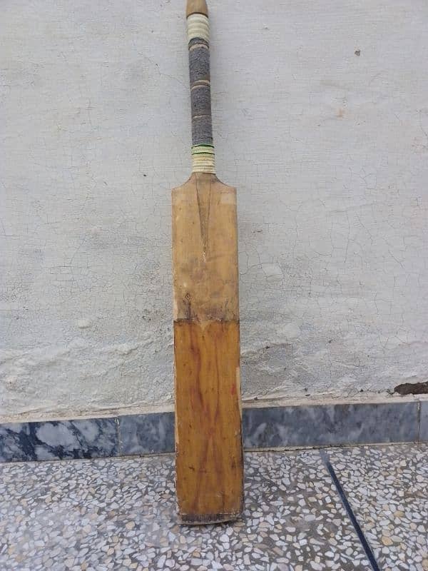 hard ball bat for practice 0