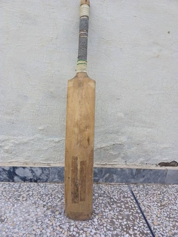 hard ball bat for practice 1