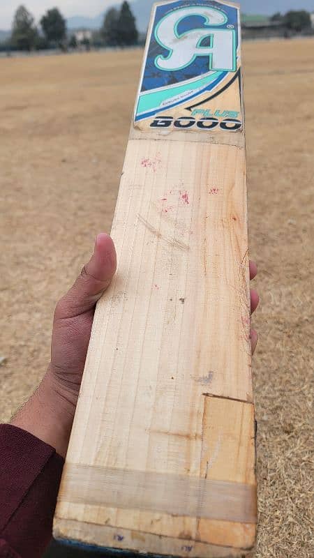 CA 8000 plus-Original Cricket Bat 3