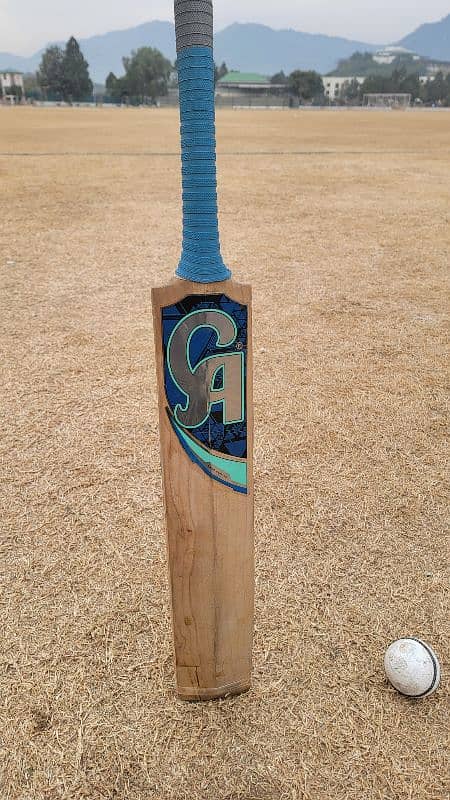 CA 8000 plus-Original Cricket Bat 1