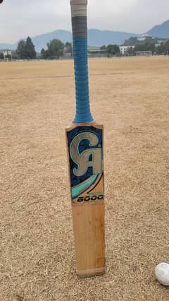 CA 8000 plus-Original Cricket Bat