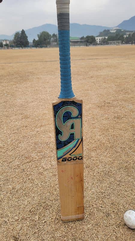 CA 8000 plus-Original Cricket Bat 0