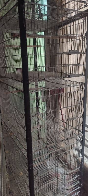 Bird Cages 3