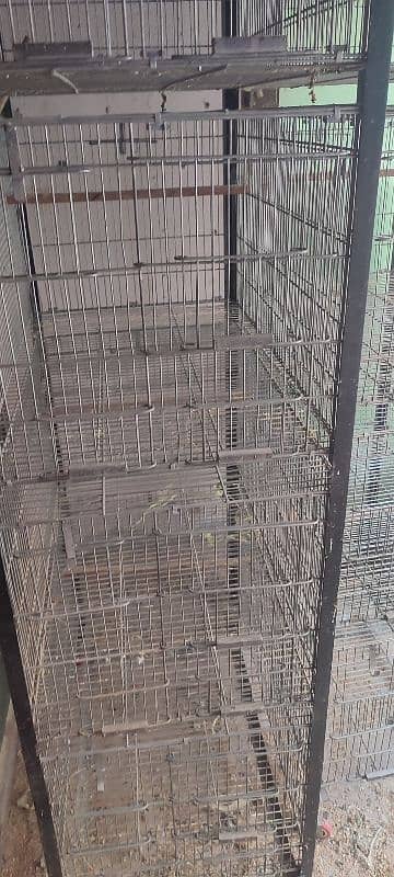 Bird Cages 4