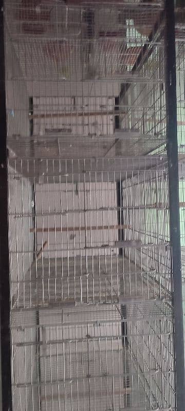 Bird Cages 5