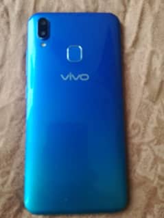 vivo